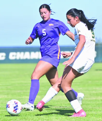 NMU women get tie, win in Ohio